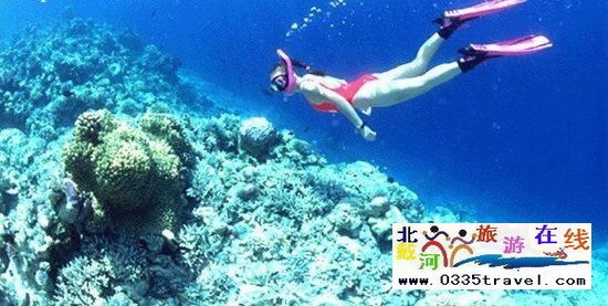 北戴河碧螺塔行者潛水俱樂部