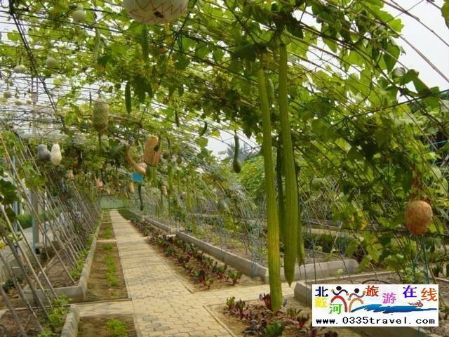 北戴河集發(fā)生態(tài)觀光園