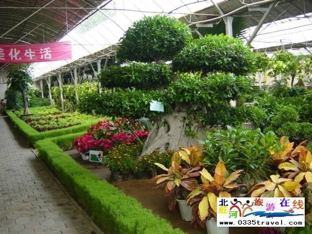 北戴河集發(fā)生態(tài)觀光園