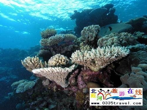 秦皇島新澳海底世界