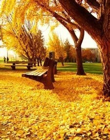 秋日童話主題旅游