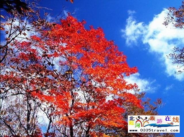 秦皇島祖山景區(qū)