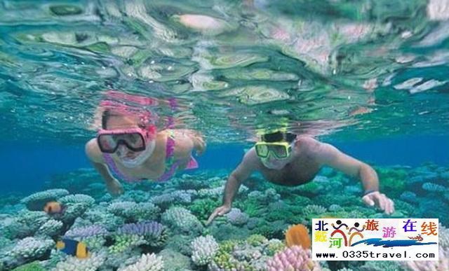 秦皇島起止曼谷巴厘島七日深度游