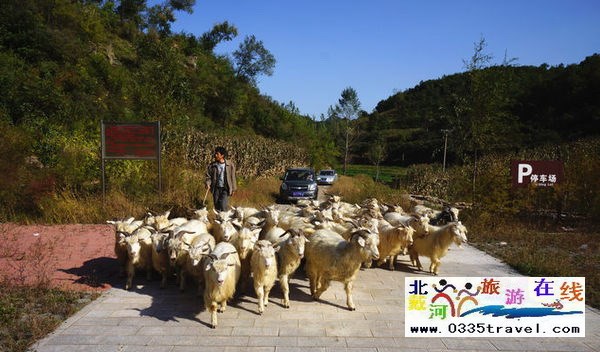 東戴河小河口長(zhǎng)城門票