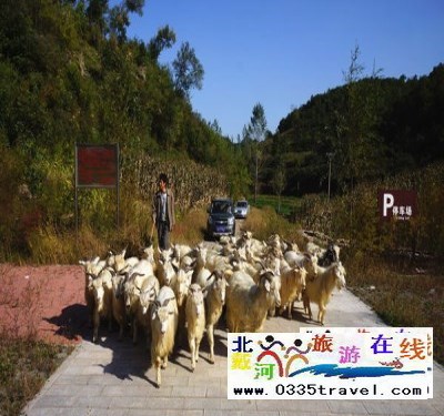 東戴河小河口長(zhǎng)城門票