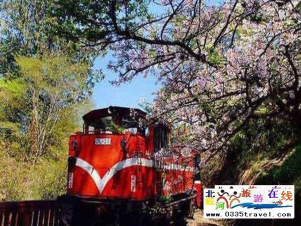 秦皇島人特惠游臺(tái)灣