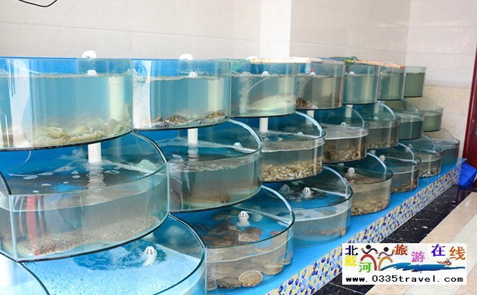 北戴河海鮮大餡餃子城