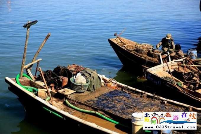 東戴河北戴河南戴河出海打漁看日出