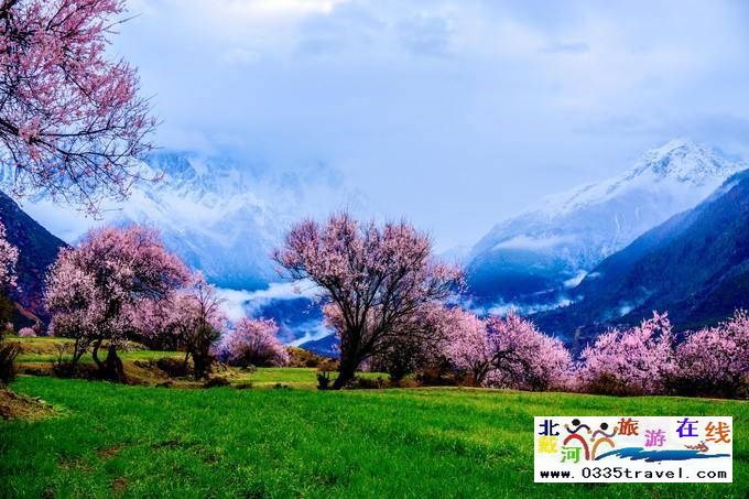 秦皇島至西藏林芝旅游必讀之西藏旅游常見(jiàn)問(wèn)題解答