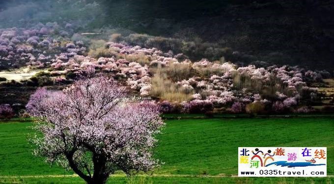 秦皇島至西藏林芝旅游必讀之西藏旅游常見(jiàn)問(wèn)題解答