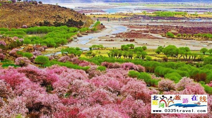 秦皇島至西藏林芝旅游必讀之西藏旅游常見(jiàn)問(wèn)題解答