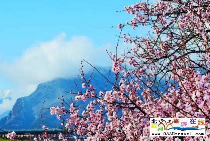 秦皇島至西藏林芝旅游必讀之西藏旅游常見(jiàn)問(wèn)題解答