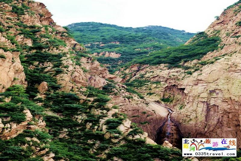 秦皇島龍?jiān)乒龋∩叫闼┚皡^(qū)電話18633570222  15703350808