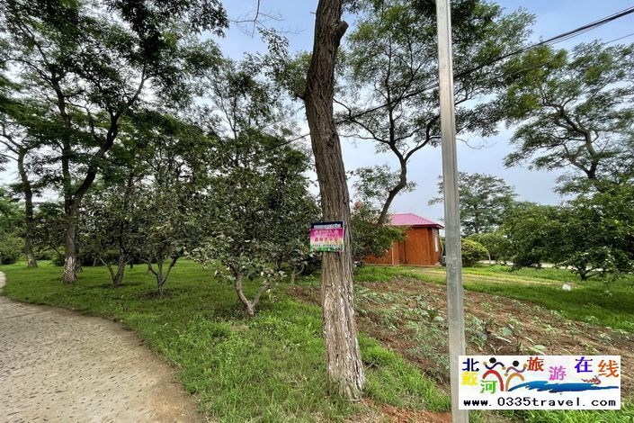 東戴河碣石假日酒店