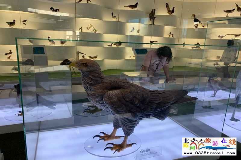 秦皇島北戴河鳥類博物館