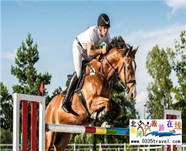 [秦皇島] 秦皇島北戴河超硬核馬術(shù)俱樂(lè)部集錦——兒童馬術(shù)課程：英倫國(guó)際馬術(shù)俱樂(lè)部、仁軒馬術(shù)俱樂(lè)部、阿那亞馬會(huì)