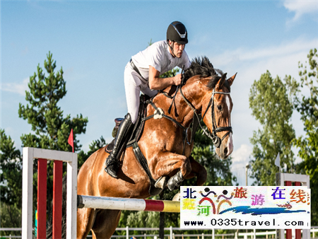 秦皇島北戴河馬術(shù)俱樂(lè)部電話18633570222