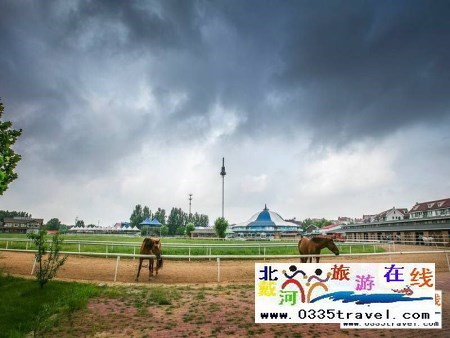 北戴河英倫國(guó)際馬術(shù)俱樂(lè)部