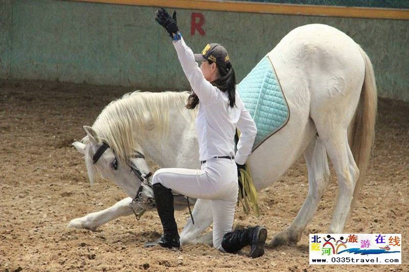 北戴河英倫國(guó)際馬術(shù)俱樂(lè)部