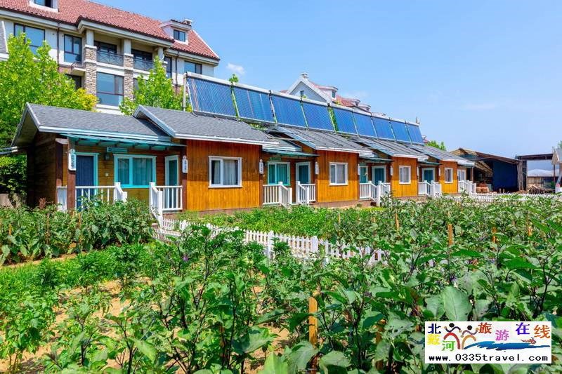 北戴河英倫國(guó)際馬術(shù)俱樂(lè)部